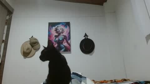 Crystal Blaze online show from March 17, 9:12 am