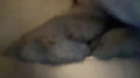 cuckgriff23 online show from April 28, 2:49 am