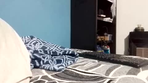 Snapshot of cumbian_chero chatting on February 23, 11:07 am cumbian_chero online show from February 23, 11:07 am