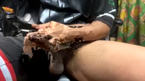 Snapshot of cumbustincock chatting on December 15, 3:55 am cumbustincock online show from December 15, 3:55 am