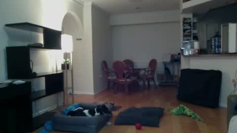 Snapshot of cumfiesta1 chatting on February 2, 4:22 pm cumfiesta1 online show from February 2, 4:22 pm