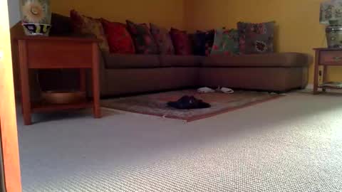 cumonherguys online show from November 8, 8:36 am