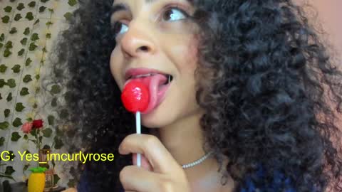 Rose online show from January 22, 12:16 am