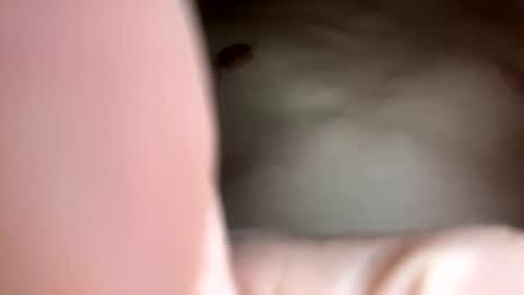 Snapshot of curvy24777 chatting on February 23, 7:44 am curvy24777 online show from February 23, 7:44 am