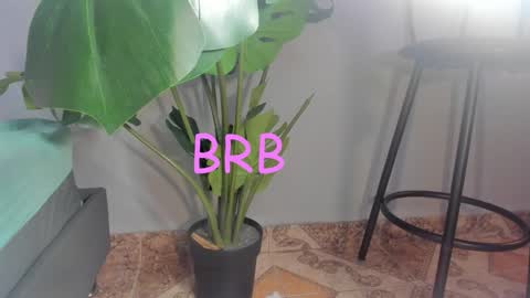 Stacy online show from December 13, 8:30 am