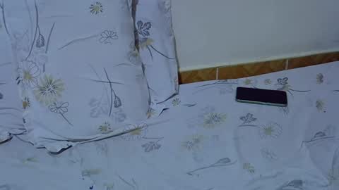 lynn online show from November 15, 8:00 am