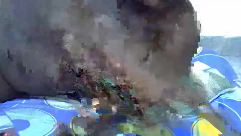 lynn online show from December 21, 4:47 pm