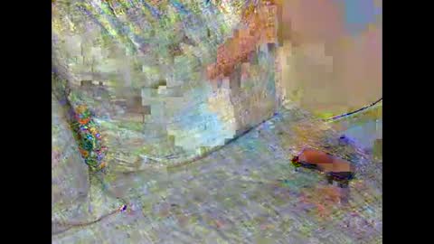 Segsy online show from December 21, 12:27 pm