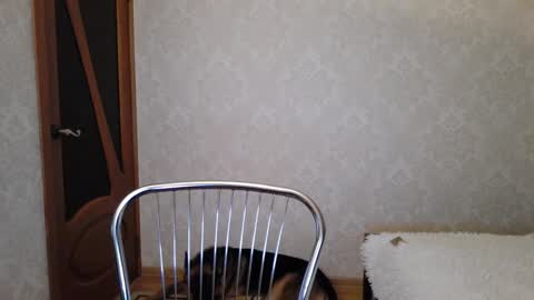 cute_strawberry_ online show from December 9, 4:45 am