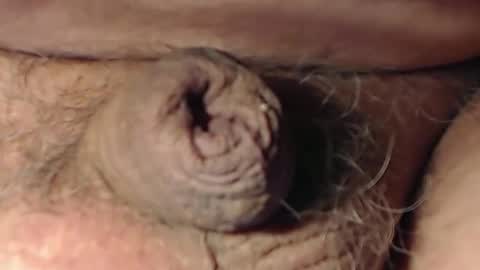 Snapshot of cute_stud1010 chatting on February 22, 3:10 pm cute_stud1010 online show from February 22, 3:10 pm