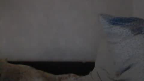 Snapshot of cutekattie chatting on December 8, 9:24 am cutekattie online show from December 8, 9:24 am