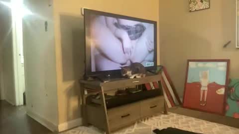 CuteUwUboytoy online show from March 18, 8:17 am