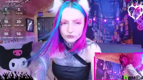 Neko online show from August 2, 4:00 am