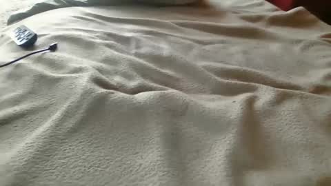 d_stroyer_p online show from December 19, 10:17 pm