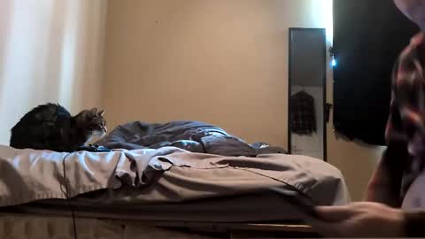 Snapshot of da_man411212 chatting on February 19, 10:06 pm da_man411212 online show from February 19, 10:06 pm