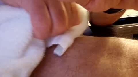 daaavy11 online show from February 19, 2:18 am