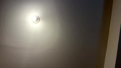 daboss41126 online show from March 18, 1:42 am