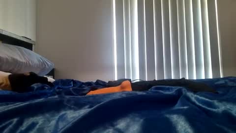 Kasey Xdresser online show from January 16, 7:51 pm