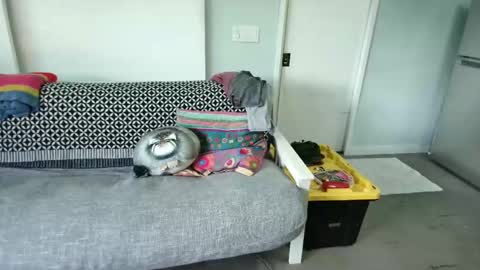 Snapshot of daddycache chatting on October 27, 8:35 pm bas online show from October 27, 8:35 pm