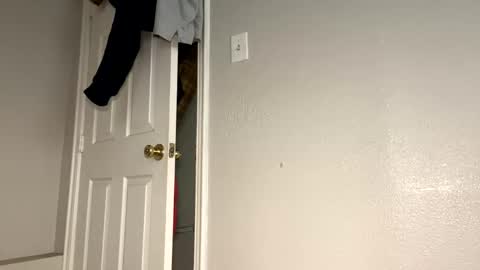 daddyplumber online show from January 10, 9:20 pm