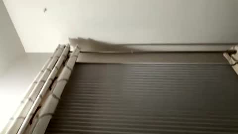 daddyweis online show from September 16, 2:23 am