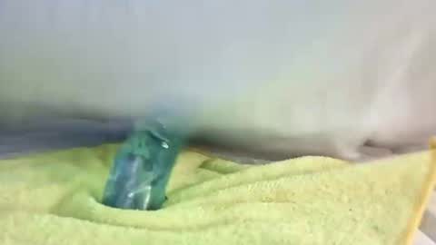 Snapshot of daileyrobert15 chatting on May 2, 7:41 pm daileyrobert15 online show from May 2, 7:41 pm