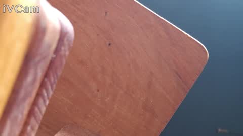 Snapshot of daisybanx chatting on December 27, 12:45 pm Daisy Banx online show from December 27, 12:45 pm