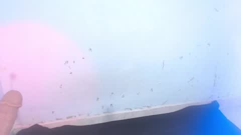 VALENTINA  online show from September 11, 7:08 am