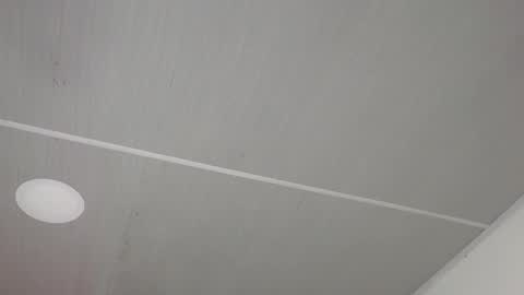 Snapshot of dakkotta_curvy chatting on March 31, 7:42 am VALENTINA online show from March 31, 7:42 am