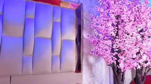 Dakota online show from March 28, 4:23 am