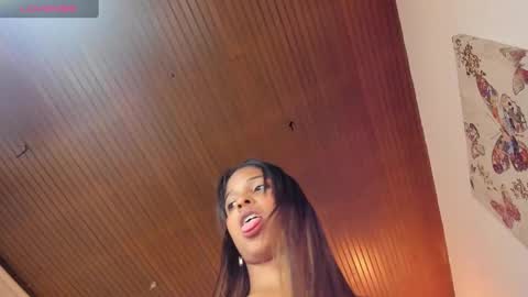 dakota_ds online show from December 29, 2:49 am