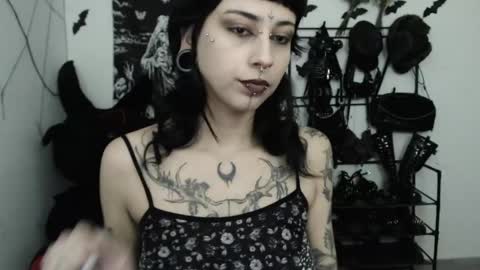 dakota online show from May 15, 2:40 am