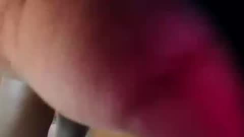 Snapshot of dakotaholand chatting on December 5, 6:33 am dakotaholand online show from December 5, 6:33 am