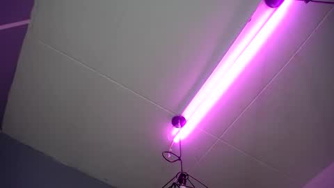     online show from January 28, 8:14 am