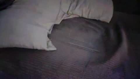 dan5666 online show from November 27, 9:00 am