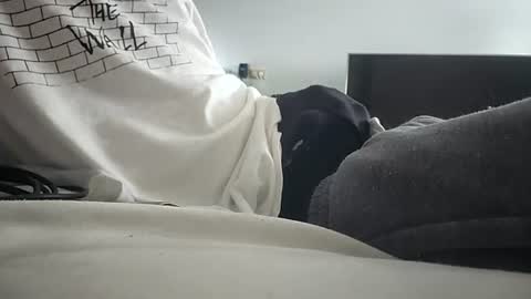 dan5666 online show from June 23, 1:36 am