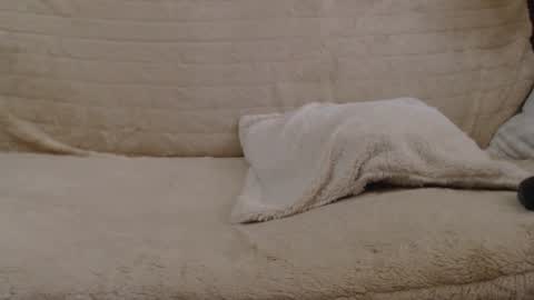 Snapshot of danaperfect chatting on January 27, 11:00 am Daniella online show from January 27, 11:00 am