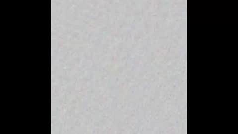 Snapshot of dani2708 chatting on December 21, 2:30 am Dani Brasil online show from December 21, 2:30 am