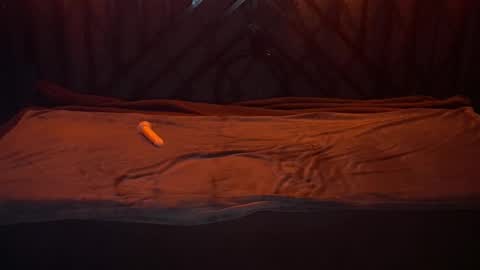 Snapshot of danielareign chatting on December 20, 7:26 am danielareign online show from December 20, 7:26 am