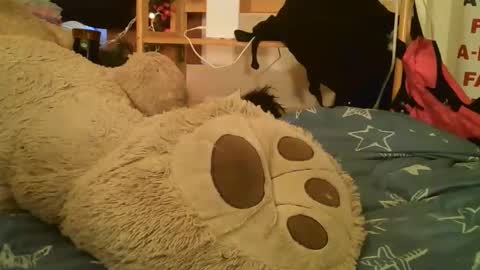 Snapshot of danielatrans662135 chatting on March 17, 2:42 pm DANIELA online show from March 17, 2:42 pm