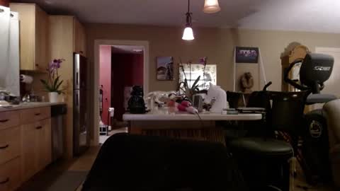 DanikaWhite69 online show from February 28, 7:26 am