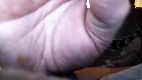 dannowisc online show from February 1, 12:37 pm