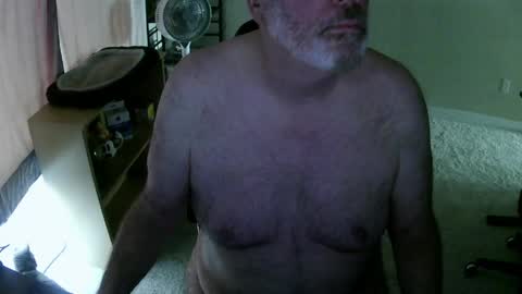 Danny bear online show from May 3, 7:31 pm