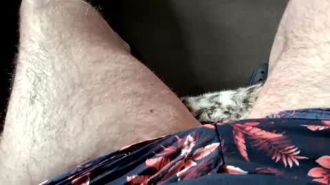 Dano B online show from March 28, 10:15 am