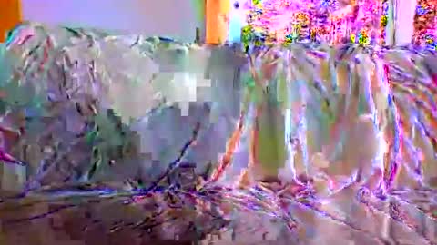 Snapshot of danwick69 chatting on September 17, 11:45 am danwick69 online show from September 17, 11:45 am