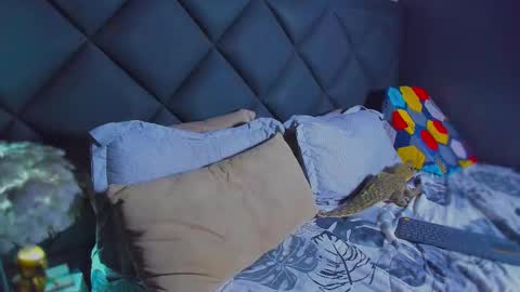 Dany online show from January 17, 6:11 pm