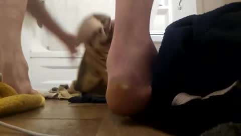 Snapshot of danydevil chatting on November 25, 4:56 am danydevil online show from November 25, 4:56 am