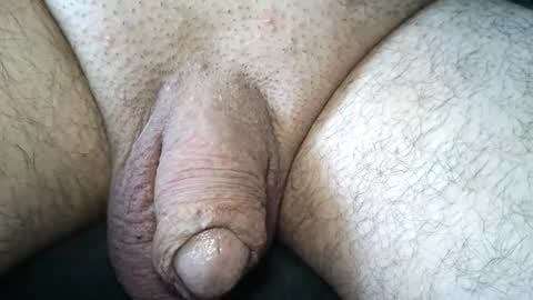 dapppper online show from June 16, 2:19 pm