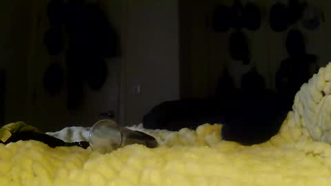 Betty and Robert Play time online show from January 13, 6:08 am