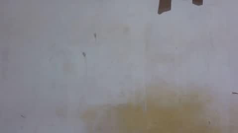 dark_princess1 online show from November 4, 6:29 pm